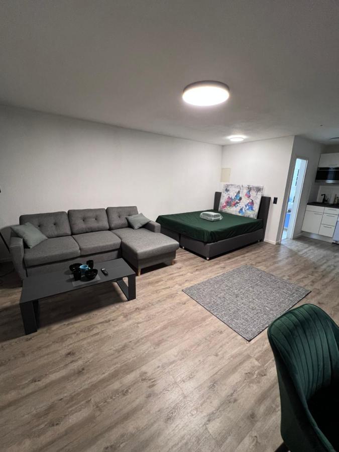Business Apartment Karlsruhe Zewnętrze zdjęcie
